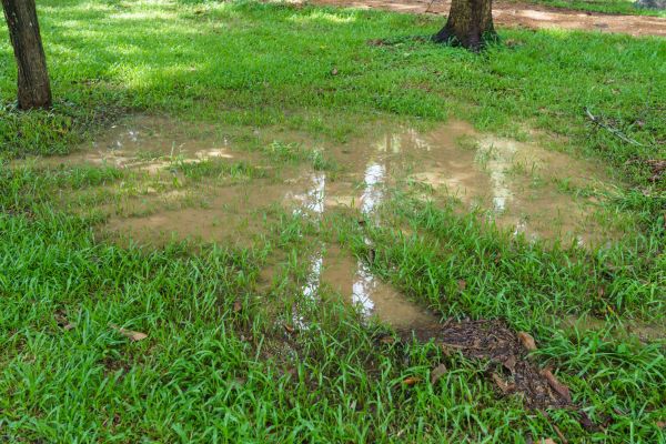 Cost of Storm Water Drainage Service in Brunswick
