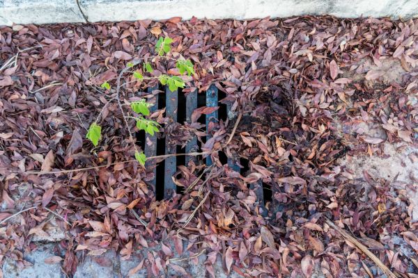 Cost of Yard Drain Unclogging in Brunswick