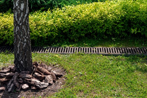 Cost of Wet Yard Drainage in Brunswick