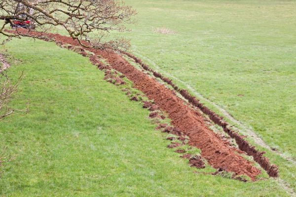 Cost of Swale Installation in Brunswick