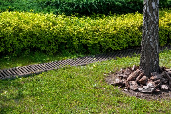 Cost of Residential Landscape Drainage in Brunswick