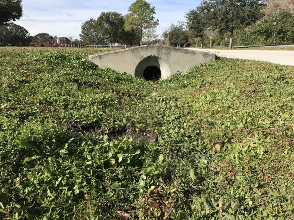 Cost of Swale Drainage Service in Brunswick