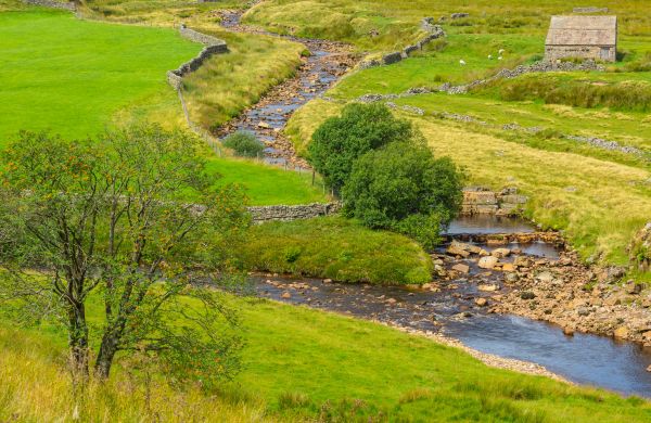 Cost of Swale Repair in Brunswick